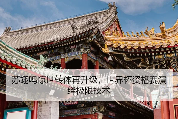 su-yi-ming-jing-shi-zhuan-ti-zai-sheng-ji-shi-jie-bei-zi-ge-sai-yan-yi-ji-xian-ji-shu-2-280.jpg