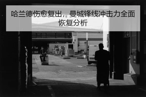 ha-lan-de-shang-yu-fu-chu-man-cheng-feng-xian-chong-ji-li-quan-mian-hui-fu-fen-xi-2-963.jpg