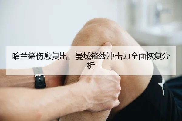 ha-lan-de-shang-yu-fu-chu-man-cheng-feng-xian-chong-ji-li-quan-mian-hui-fu-fen-xi-3-509.jpg