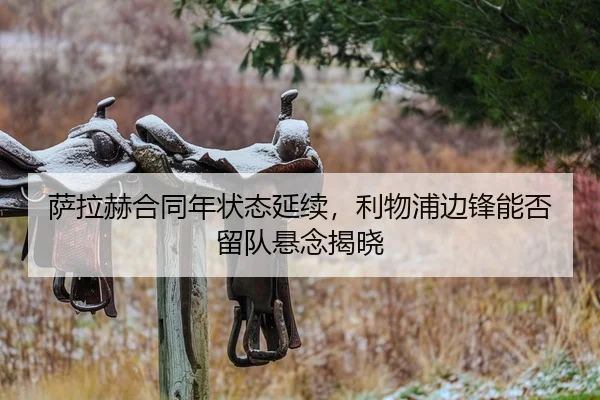 sa-la-he-he-tong-nian-zhuang-tai-yan-xu-li-wu-pu-bian-feng-neng-fou-liu-dui-xuan-nian-jie-xiao-1-787.jpg