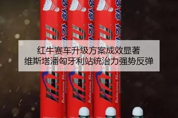 hong-niu-sai-che-sheng-ji-fang-an-cheng-xiao-xian-zhu-wei-si-ta-pan-xiong-ya-li-zhan-tong-zhi-li-qiang-shi-fan-tan-3-339.jpg