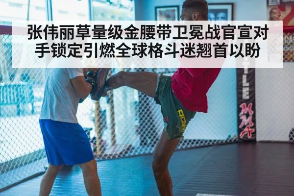 MMA training