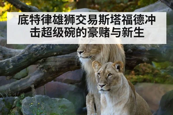 底特律雄狮交易斯塔福德冲击超级碗的豪赌与新生