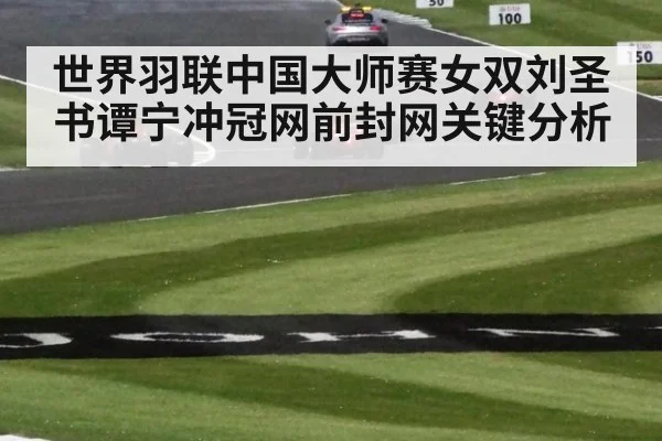 世界羽联中国大师赛女双刘圣书谭宁冲冠网前封网关键分析